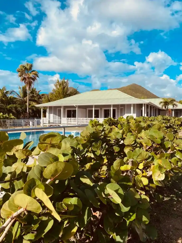 235201f1 Be6b 41cb 97cb 01ddae18ce80 8 11zon 8 11zon