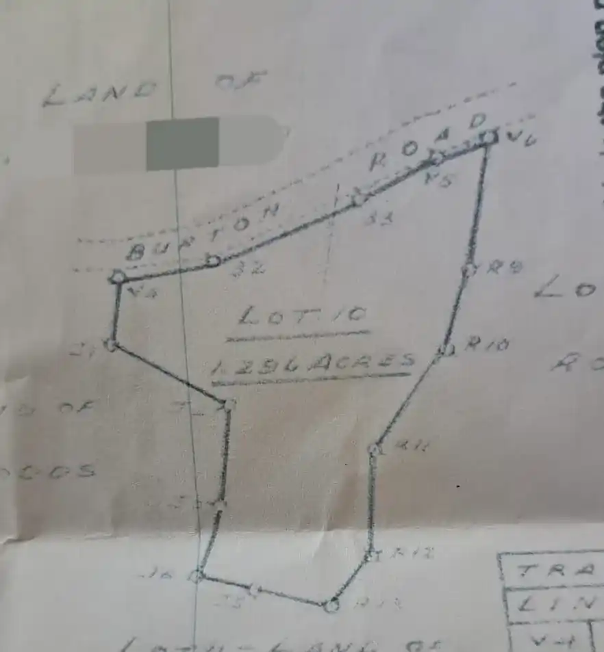 458988216 493899493567641 1267389276548669506 N 1 11zon 1 11zon