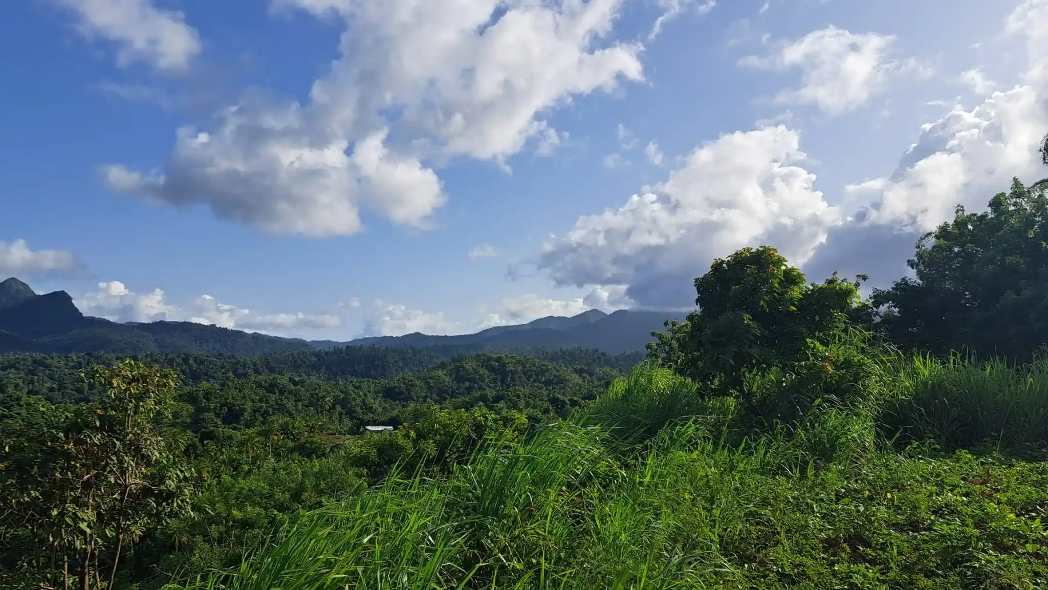 459002966 493899283567662 9186381026936903544 N 2 11zon 2 11zon