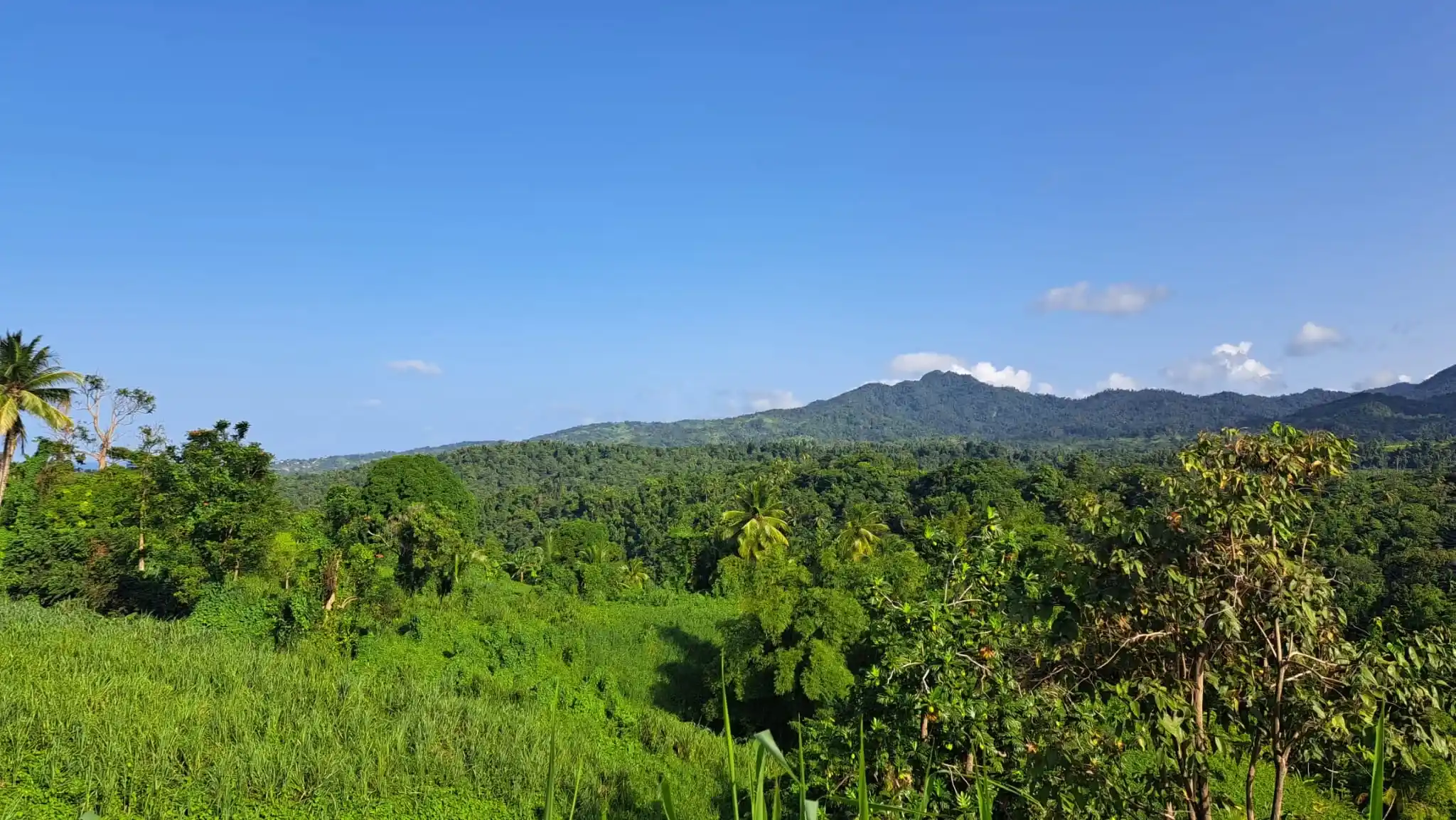 459007464 493899313567659 3979752101816348297 N 3 11zon 3 11zon