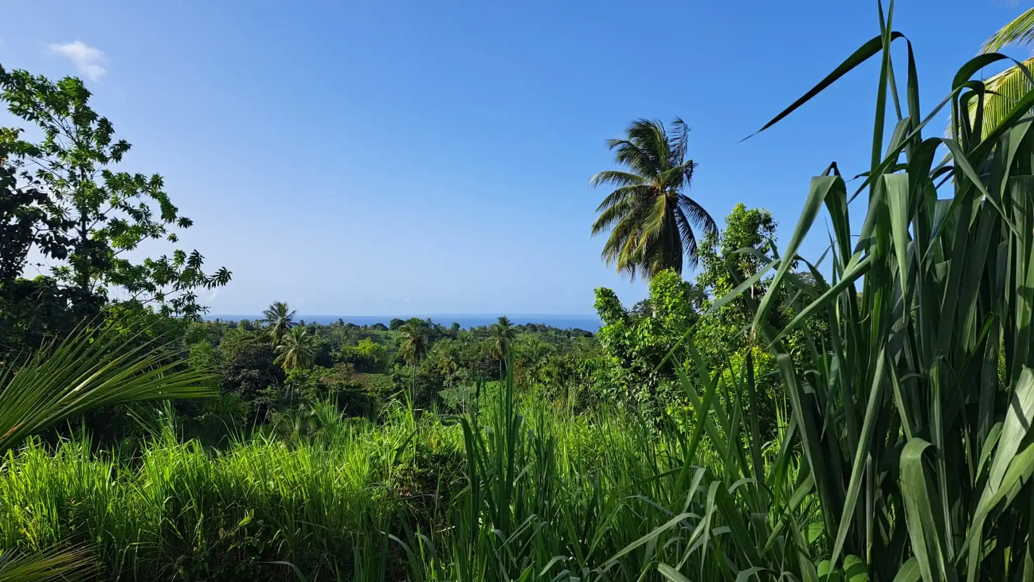 459023221 493899496900974 9196379272327650192 N 4 11zon 4 11zon