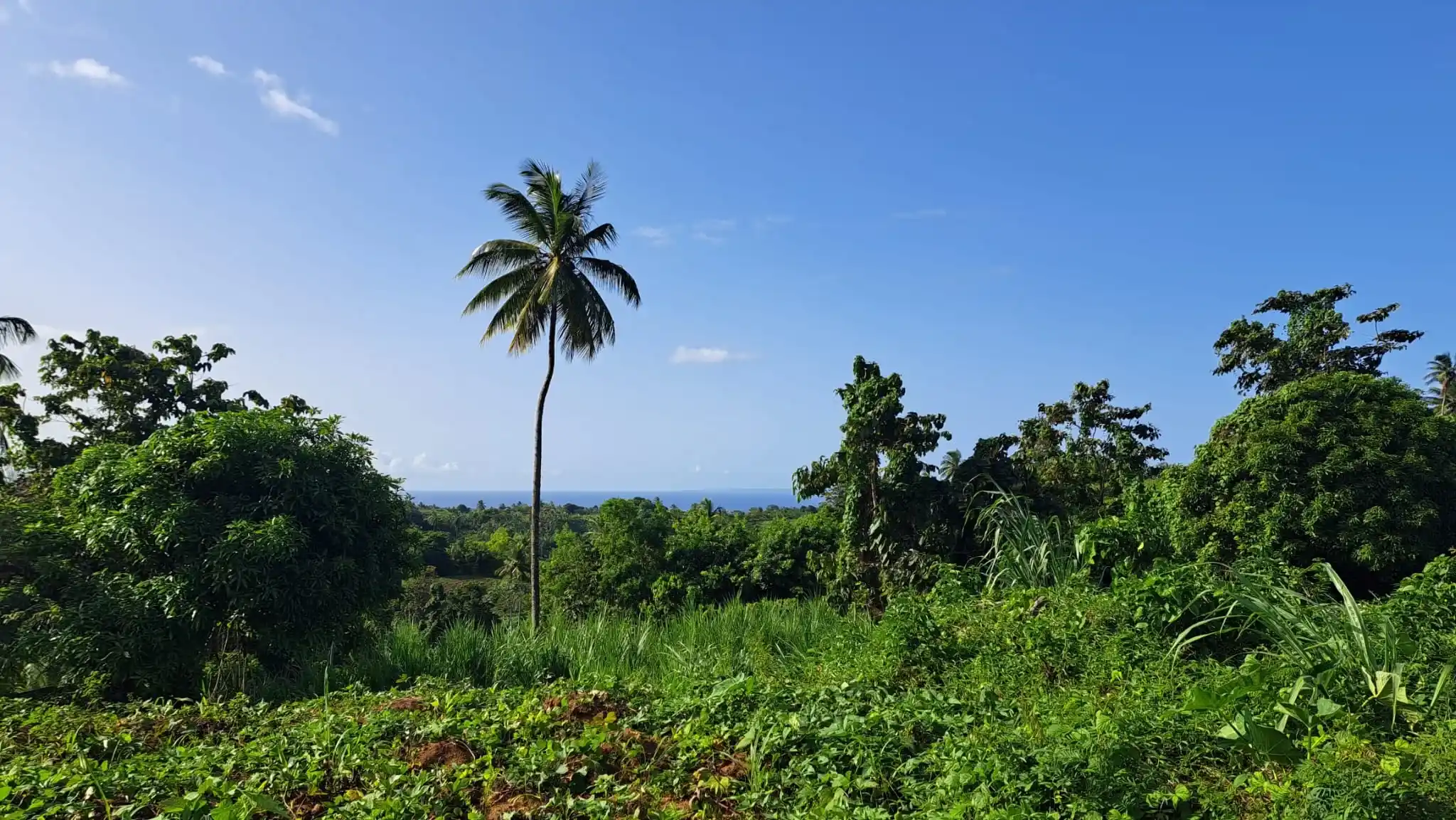 459024596 493899400234317 1413532497833915210 N 5 11zon 5 11zon