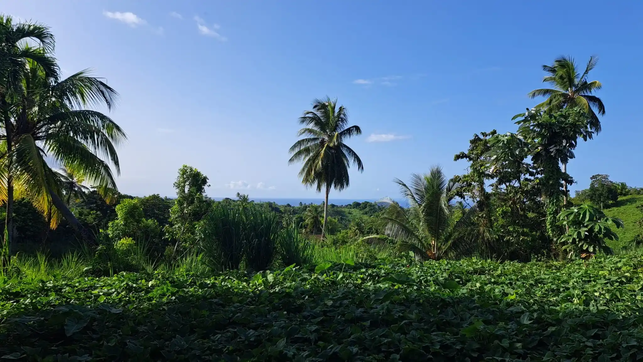 459030358 493899233567667 8661212622465178739 N 6 11zon 6 11zon