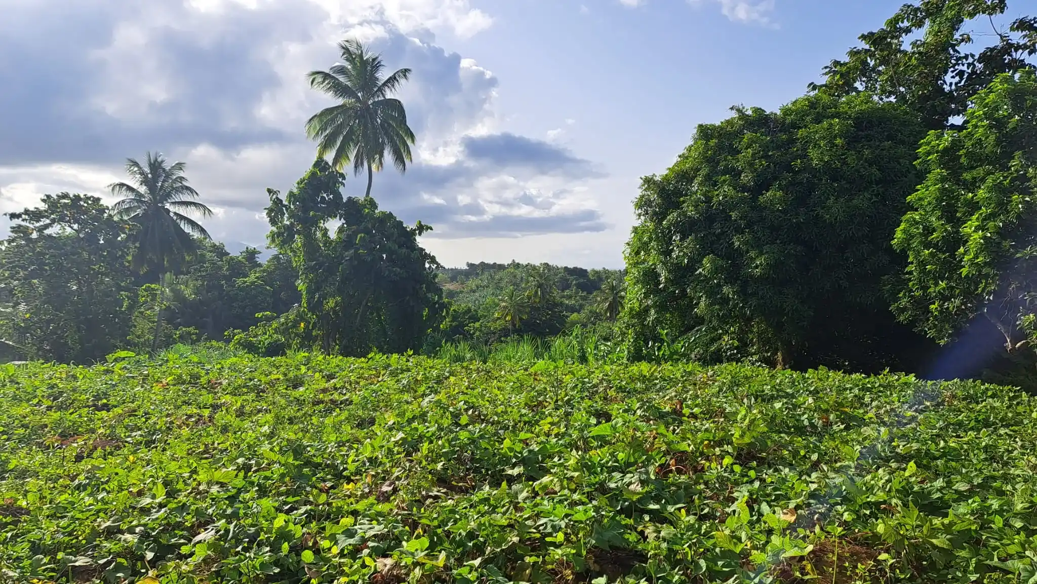 459101236 493899430234314 678430358858348130 N 8 11zon 8 11zon