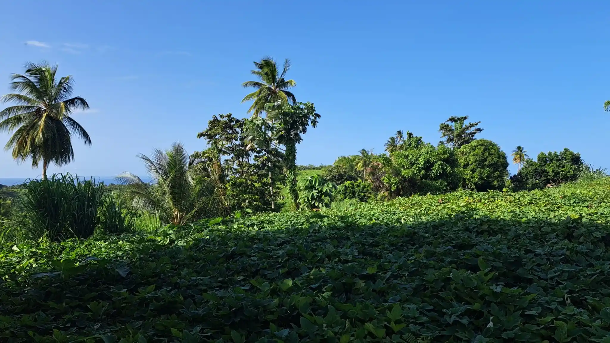 459107072 493899290234328 5745252517166016740 N 10 11zon 10 11zon