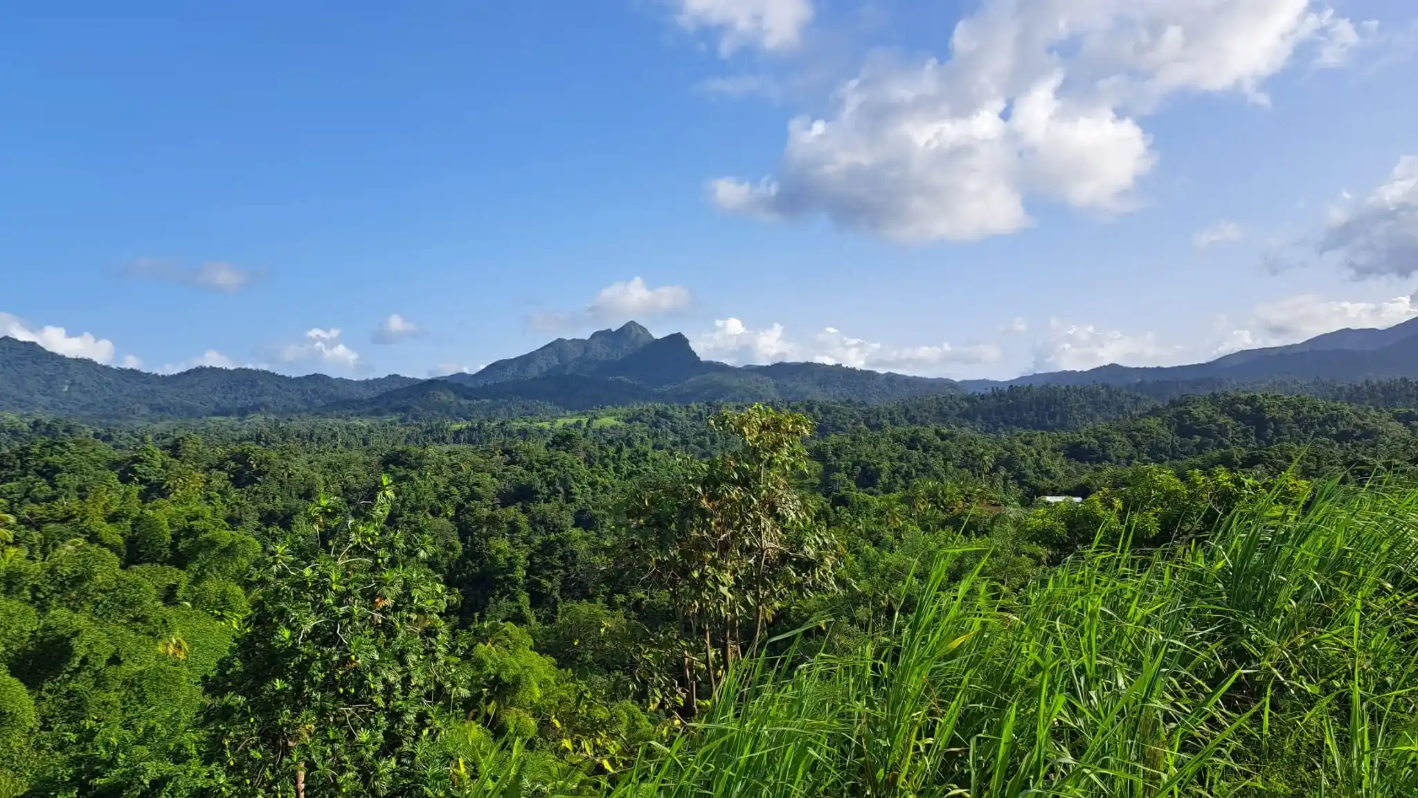 459146036 493899383567652 2861501407810574981 N 11 11zon 11 11zon