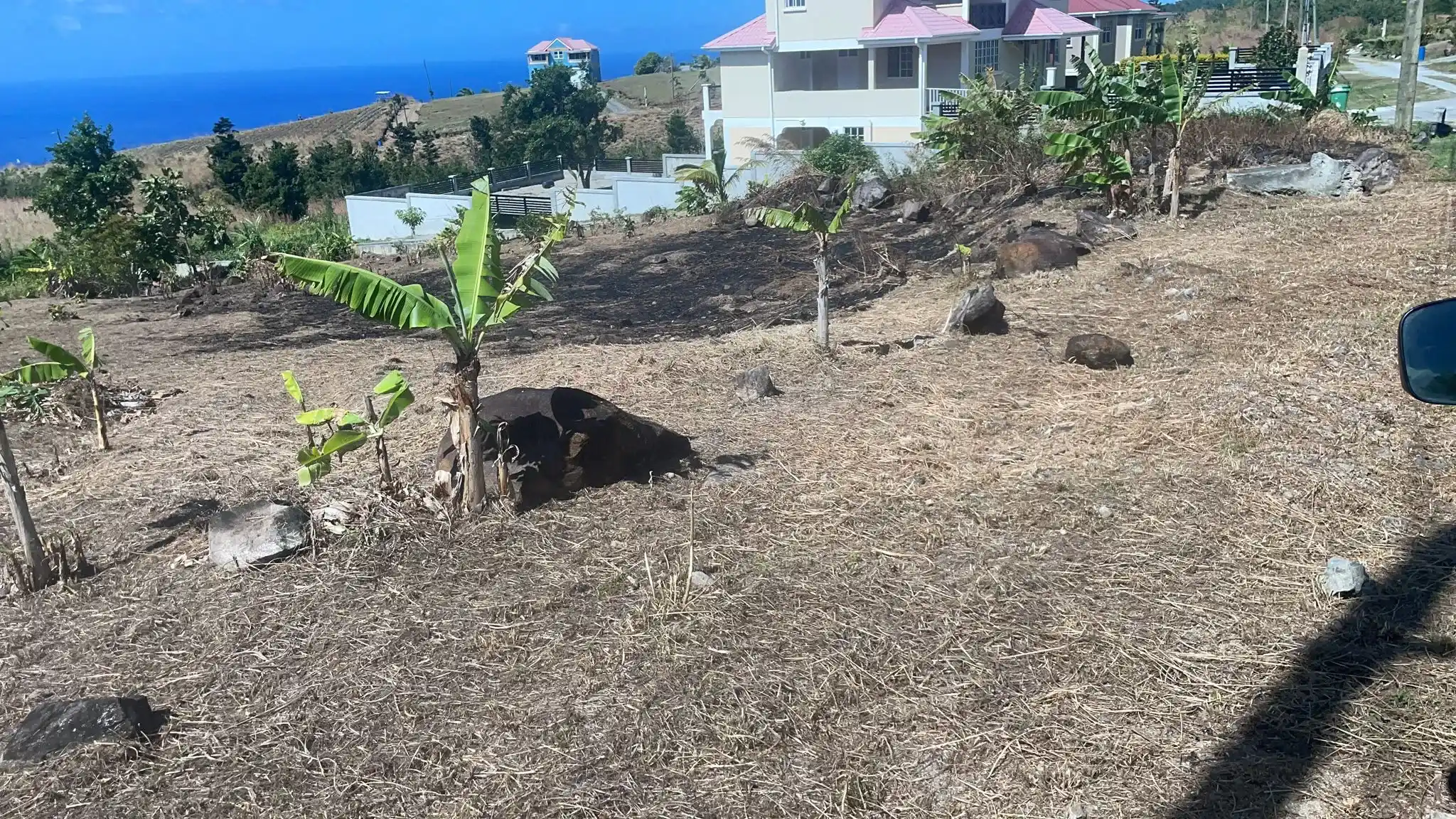 IMG 20250211 WA0002 1 11zon 1 11zon