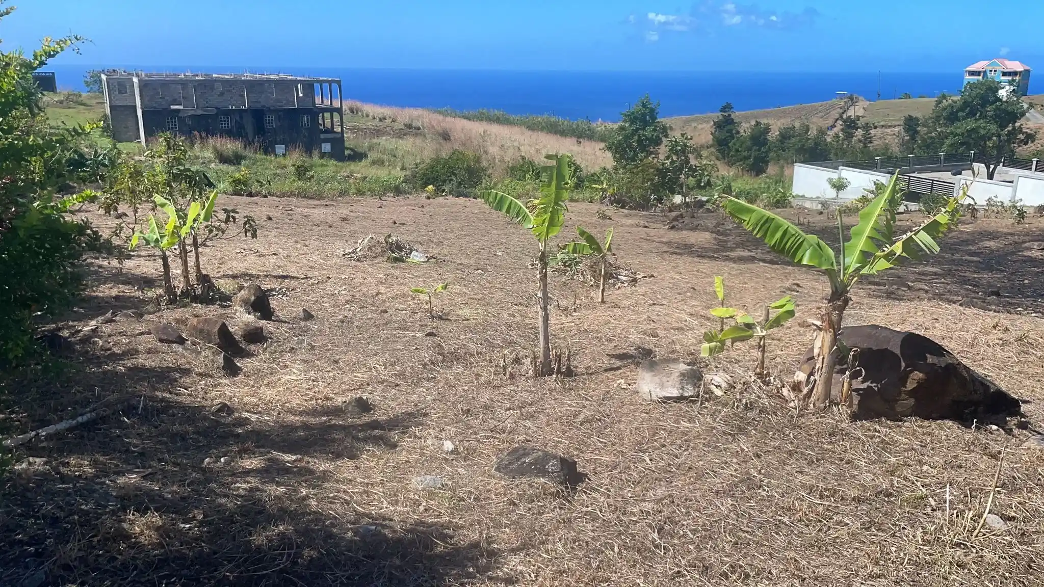 IMG 20250211 WA0004 2 11zon 2 11zon