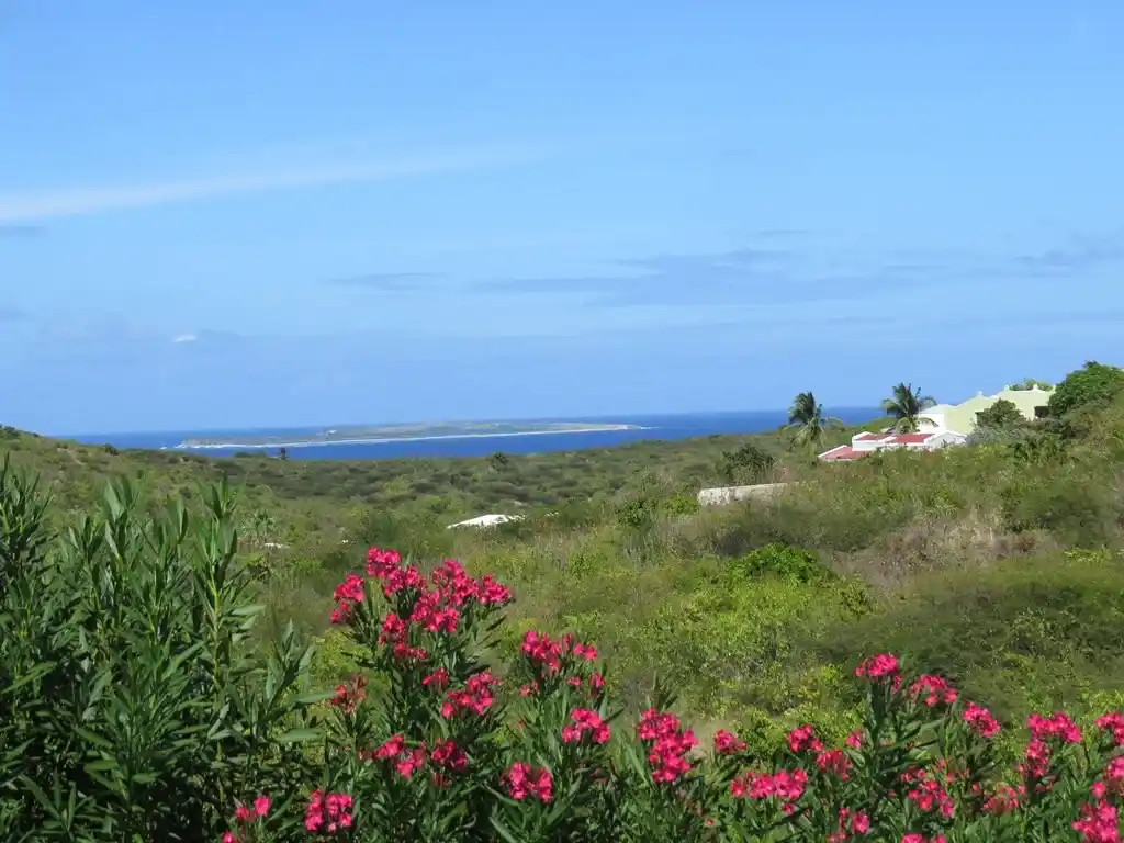 IMG 4028 7 11zon 7 11zon