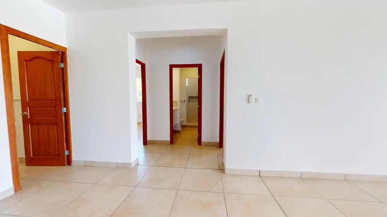 Mahoe Dr Plumeria 10 07172025 085939 10 11zon