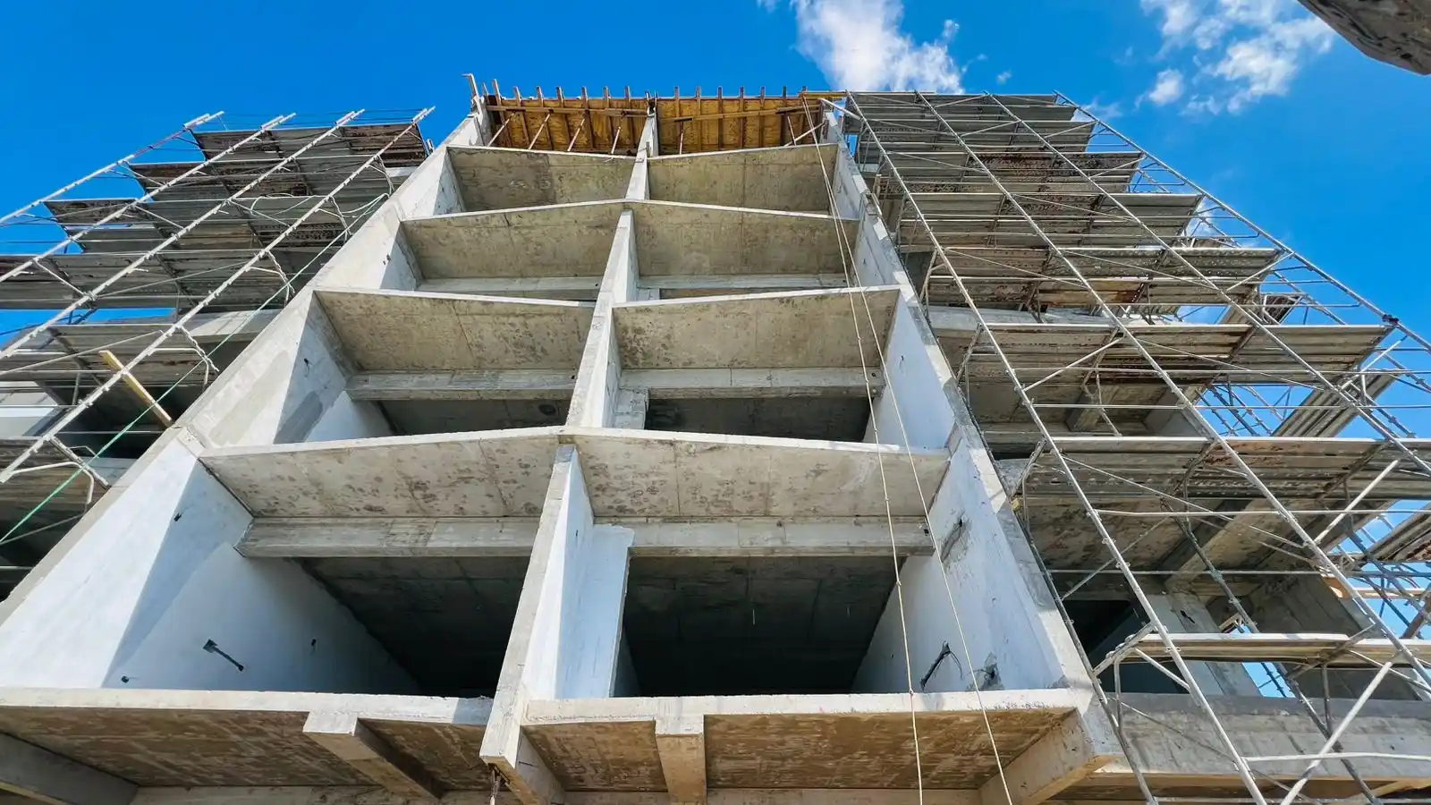 PHOTO 2025 11 24 15 00 28 11 11zon