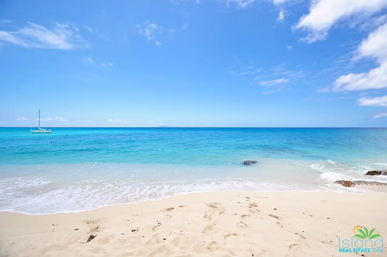 D51a3d90 C335 4219 B2e9 9481ea544089 Sale 4 11zon