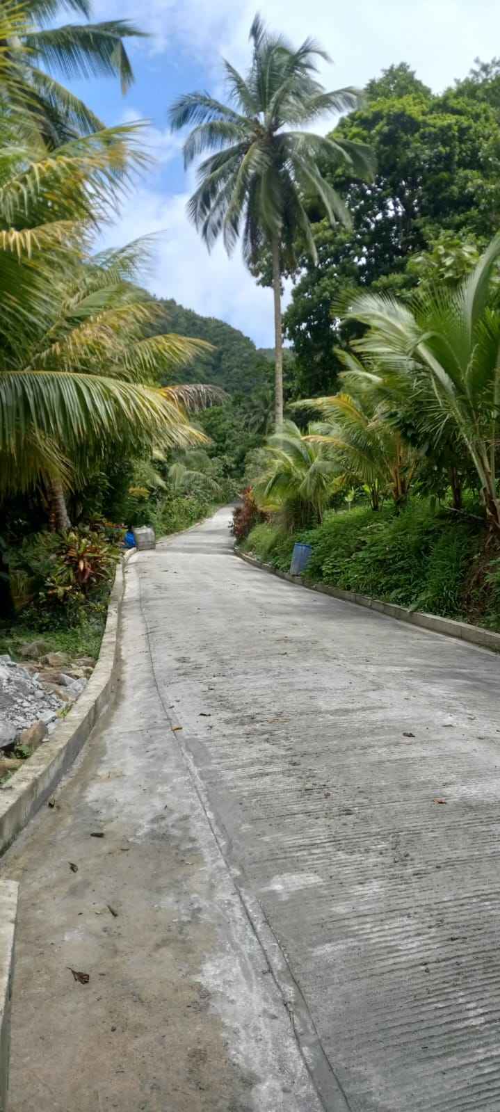 For Sale 3 Acre Land Lot Domininca Pichelin 1 2 11zon