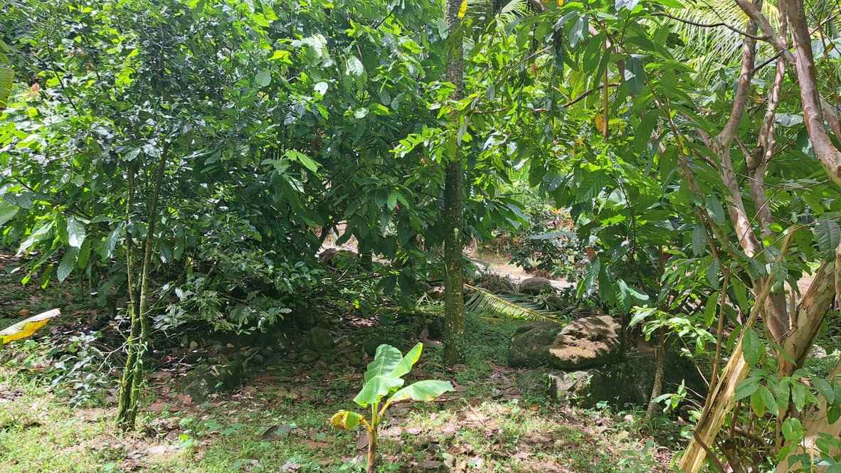 For Sale 3 Acre Land Lot Domininca Pichelin 3 4 11zon