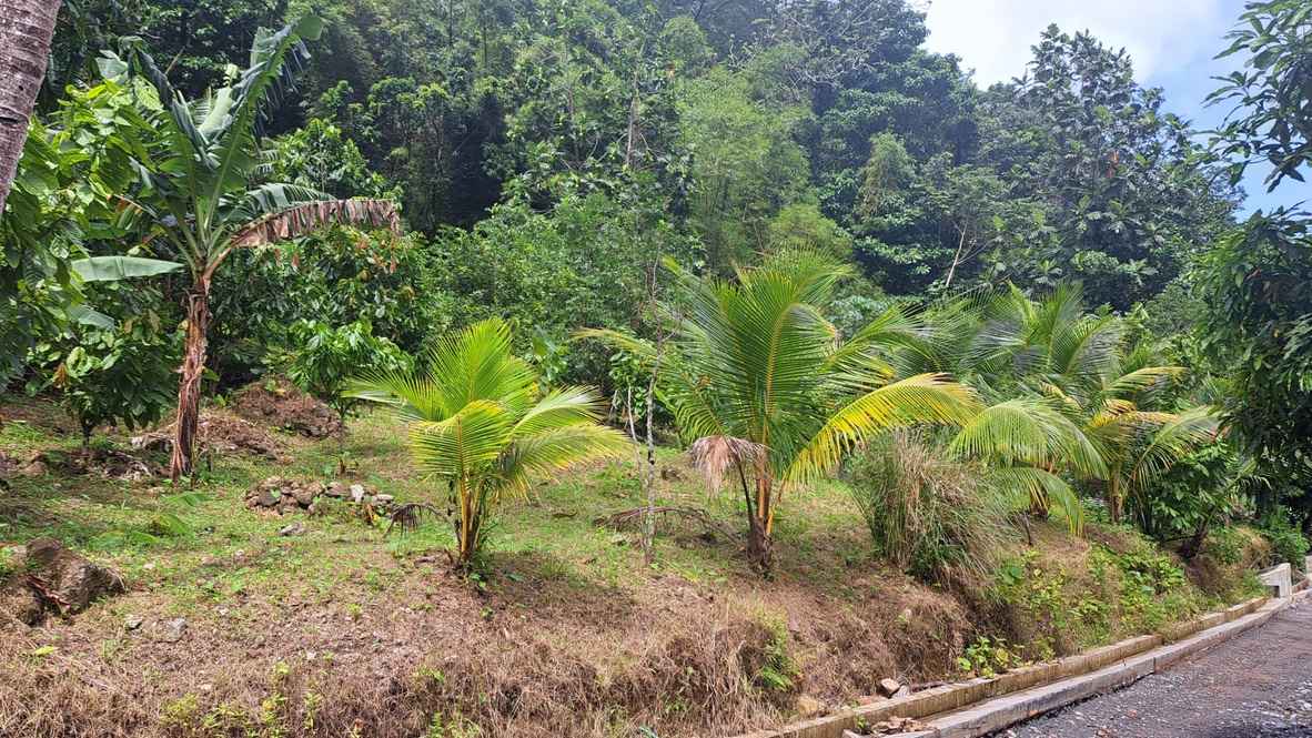 For Sale 3 Acre Land Lot Domininca Pichelin 7 8 11zon