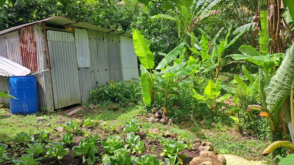 For Sale 3 Acre Land Lot Domininca Pichelin 9 10 11zon