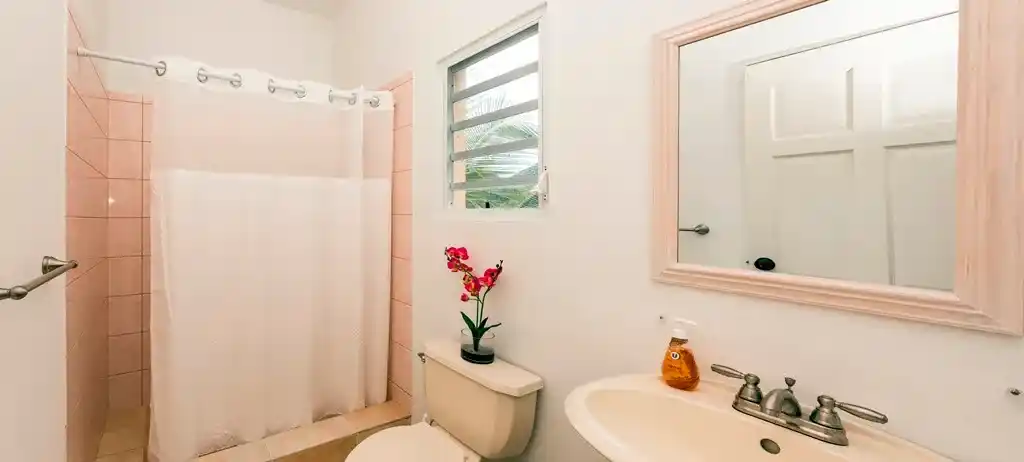 For Sale 4 Bedroom Ocean View Villa Sint Maarten Guana Bay 49 48 11zon 48 11zon