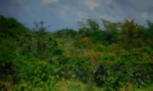 5. St. Eustatius 5 11zon