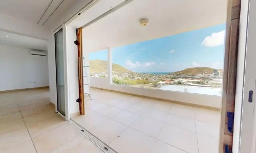 Mahoe Dr Plumeria 10 07172025 085709 3 11zon