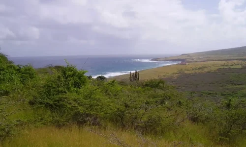 PC080117 1 11zon 1 11zon