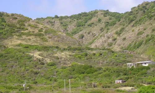 PC080145 5 11zon 5 11zon