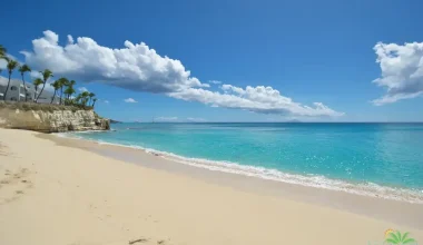 The Cliff In St.Maarten Common Area 1 1 10 11zon 10 11zon