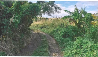 For Sale Ocean View Lot Dominica Warner 1 1 11zon