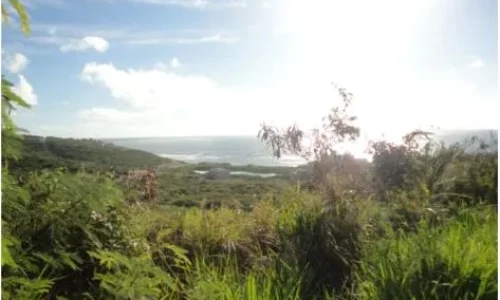 For Sale Red Pond Estate Lot 10 St. Maarten 1 11zon